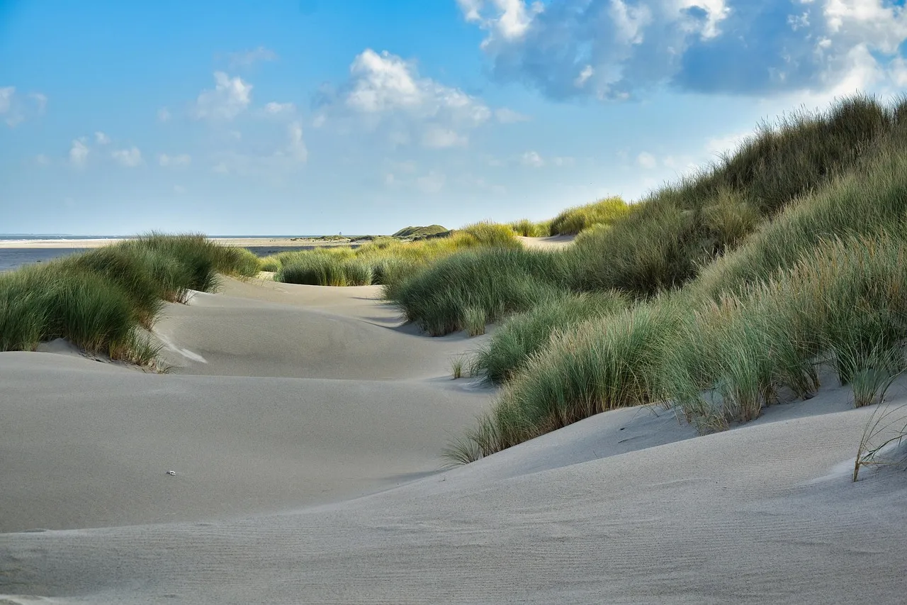 Die schönsten Strände der Niederlande – Meer, Ruhe und Natur ganz nah