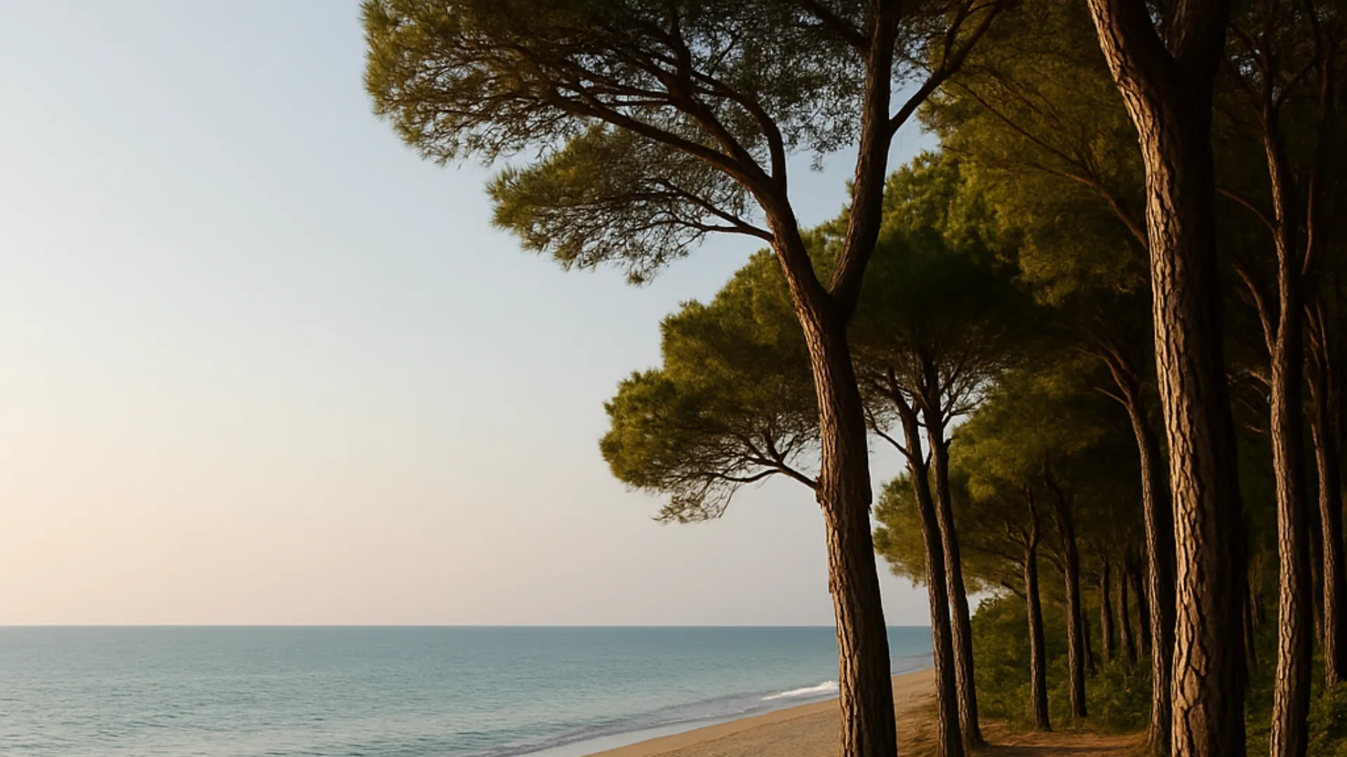 Italien mal anders: Wie sich Meeresurlaub zwischen Kiefern und Stille anfühlen kann